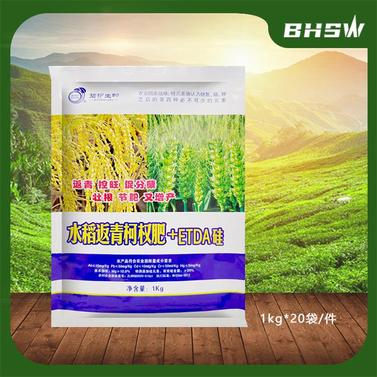 水稻返青柯杈肥