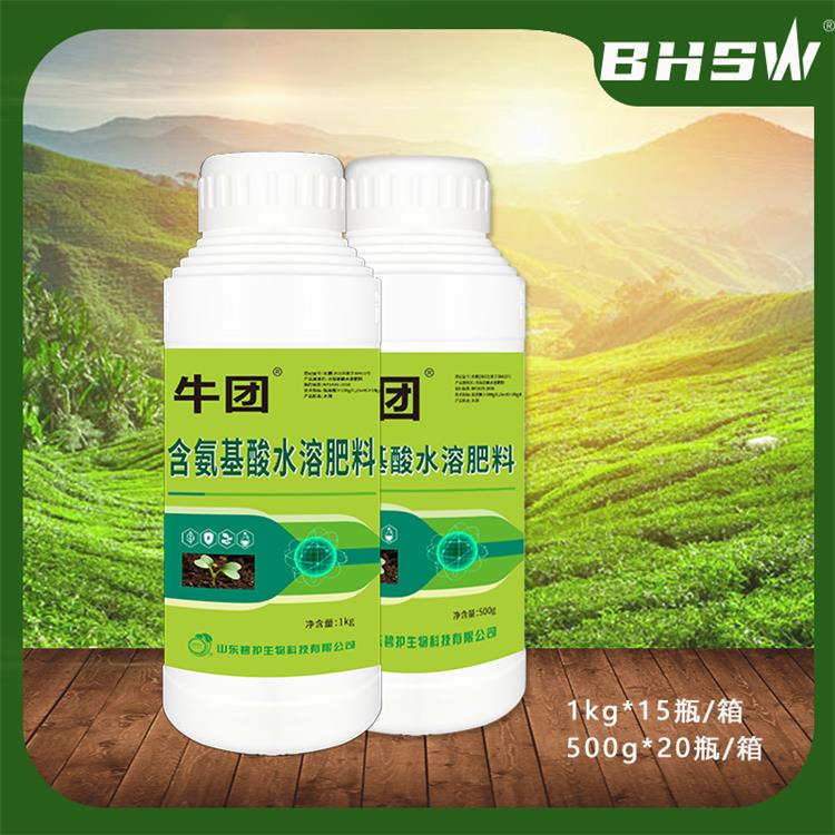 牛团500g、1kg